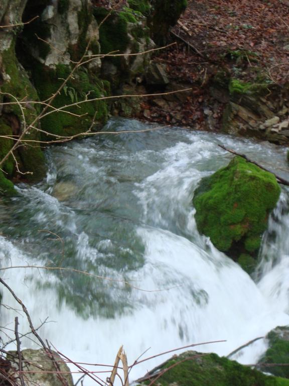 Prenocisca Jezero Appartement Gorenje Jezero Buitenkant foto