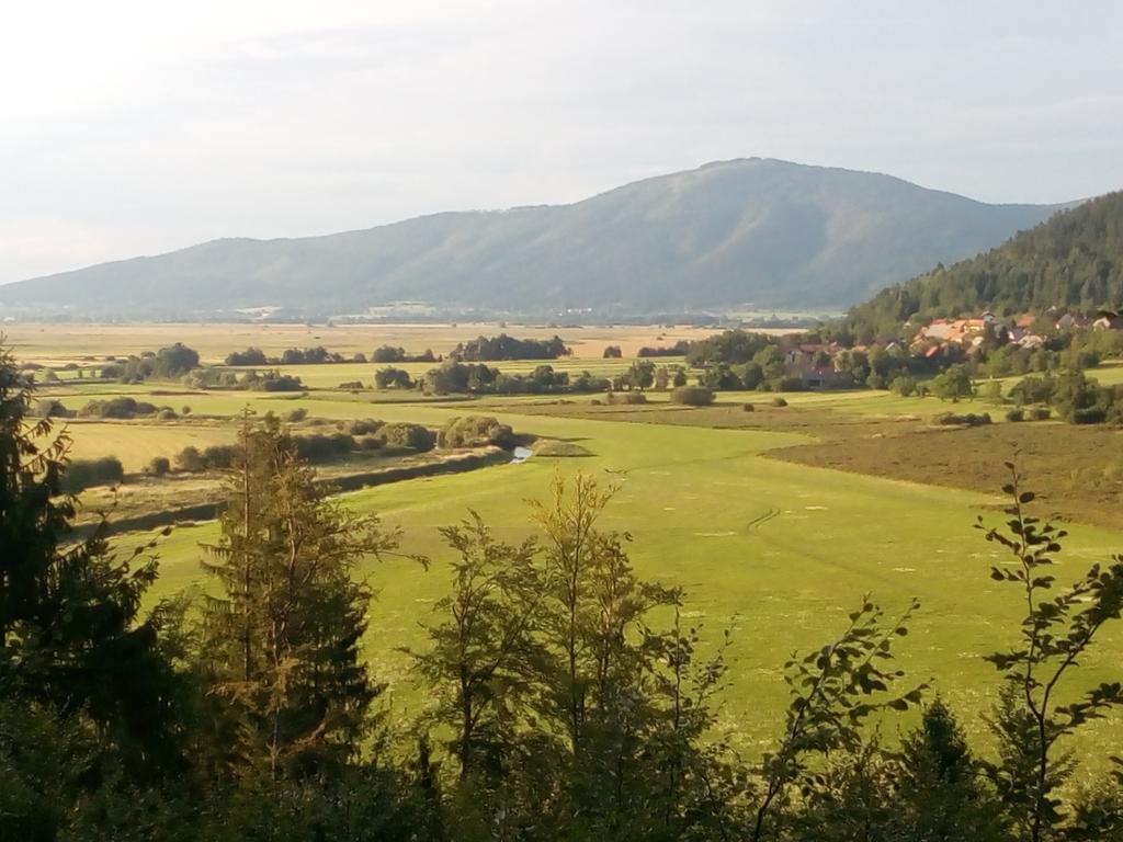 Prenocisca Jezero Appartement Gorenje Jezero Buitenkant foto